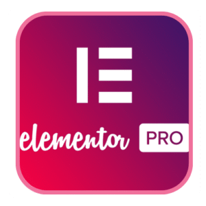 elementor pro - lifetime license